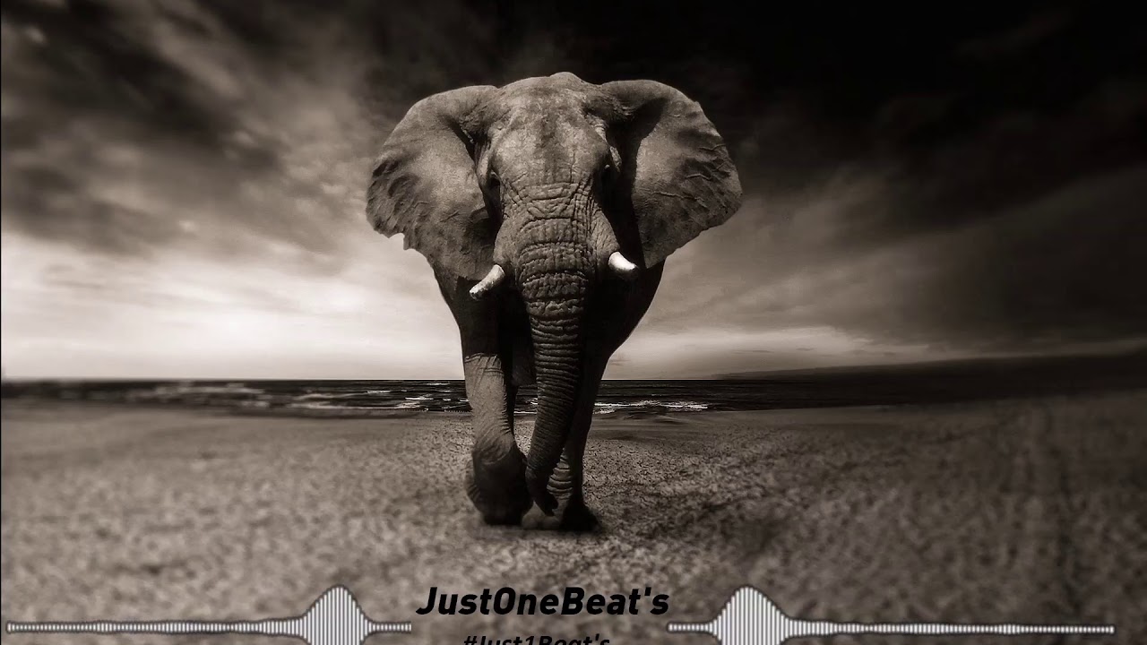 [King Of Jungle] Beat Type HardTrap Sofiane / GLK / Ninho / YL