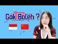 CHINA VS INDONESIA：HAL YANG TABOO SETELAH HAMIL！！！