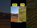 66 Billion Trees: How China Fixed the Planet #shorts