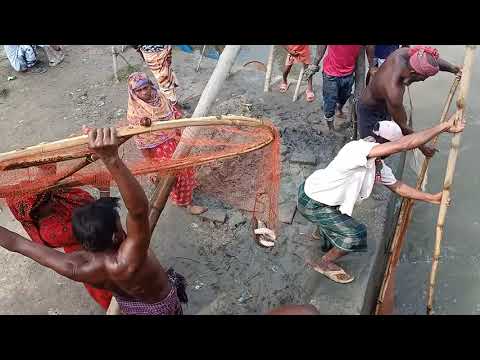 Fishing in Sluice Gate Really Unique and Old Style Fishing Technique