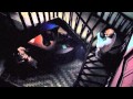 O Rappa - O Salto (Clipe Oficial)