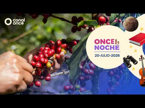 Once por la noche (20/07/2026)