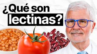 Lectinas: ¿Son malas para tu cuerpo? | Dr. Steven Gundry Qu Dicen Tus Heces Salud Intestinal Dr Steven Gundry