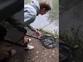 Erst Fisch und dann das?