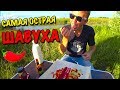 ГОТОВИМ НА ПРИРОДЕ САМУЮ ОСТРУЮ ШАУРМУ / У РОМЫ ПУКАН ВУЛКАН