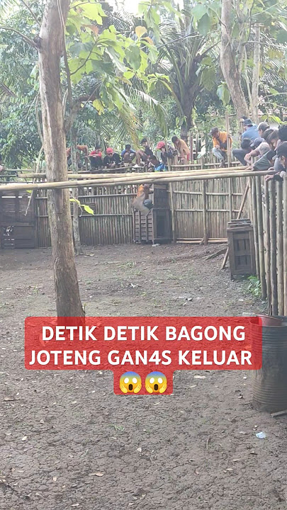 BAGONG JOTENG KELUAR DARI GAROGOL😱‼️ #fypyoutube #anjingpemburu #shortvideo #viralvideo #pets