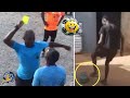  why mr referee  laugh with african football 9