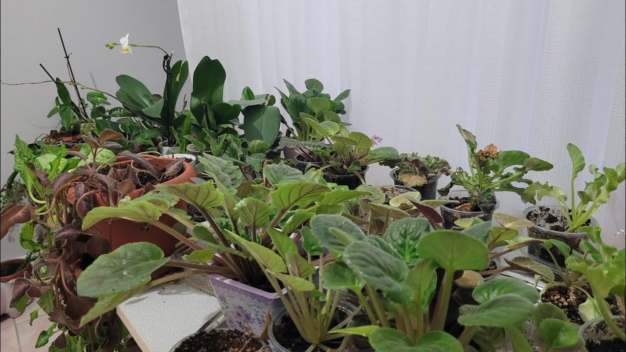 MENEKŞELERİMİ MERAK EDİB SORANLARA GELSİN. 