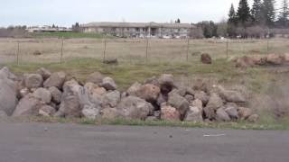 Fieldwork - Site Overview