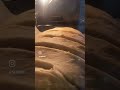 #амьдхөрөнгө #sourdough #артизанталх