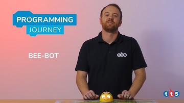 TTS Programming Journey - Bee-Bot