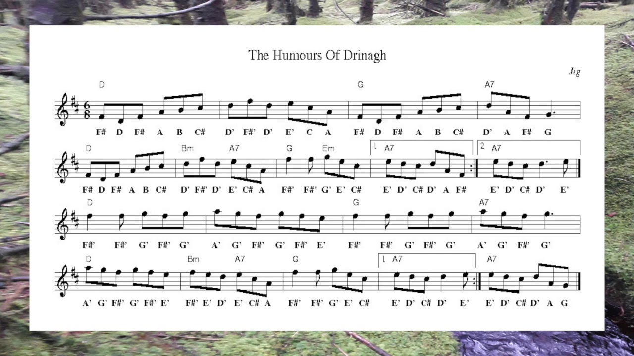 Humours of Drinagh (Jig) - Play-Along Wednesday