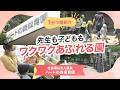 動画サムネイル