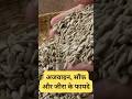 जीरा, अजवाइन और सौंफ के फायदे | Jeera ajwain saunf ke fayde #healthtips #shorts #healthyfood