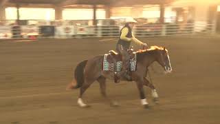 250921 Green Carmen Rae Deichman On Best Online Shopper