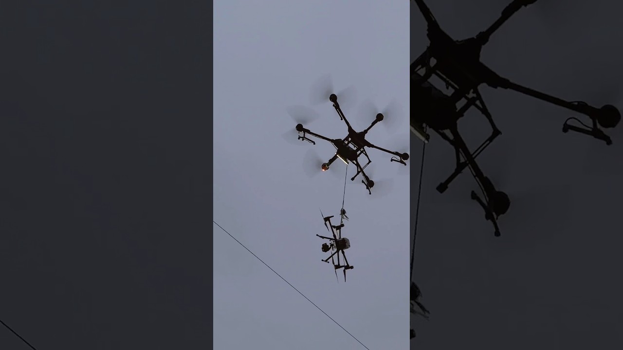 Embarrassed on power lines? Big Bro's here!