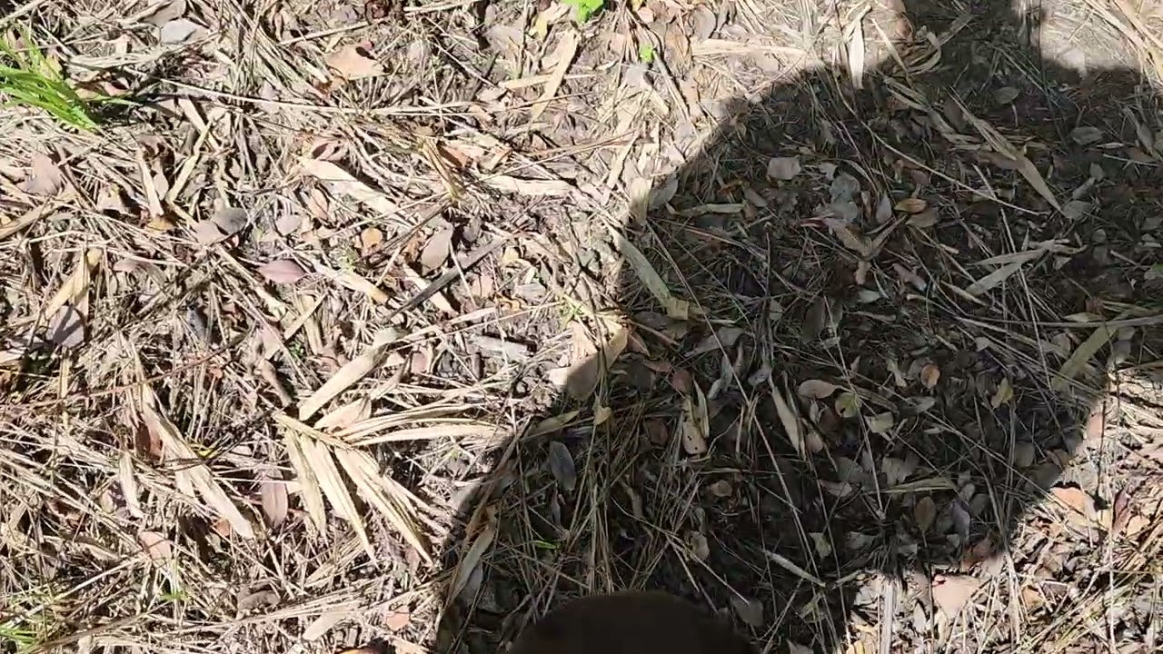 Đã bán)nhượng khoảng 13ha giá chu giảm còn 35tr 1ha.ĐT zalo-0379897983