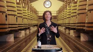 Château Pape Clément - Pessac-Léognan