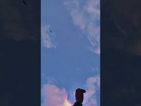 смотри до конца