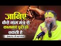 जानिए कैसे नाम मंत्र से कामनाएं पूरी हो सकती है | Premanand Ji Maharaj Pravachan #premanandjimaharaj