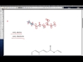 When Resonance takes place? Tips for types of conjugated ...