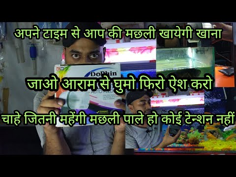 Auto Fish Feeder Aquarium Fish ज ओ आर म स घ म अब