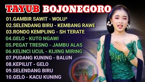 TAYUB BOJONEGORO FULL ALBUM JAWA TIMURAN