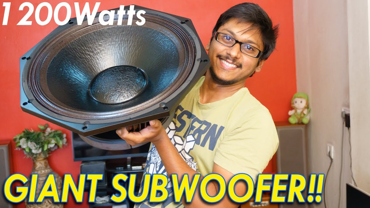 24 inch woofer price