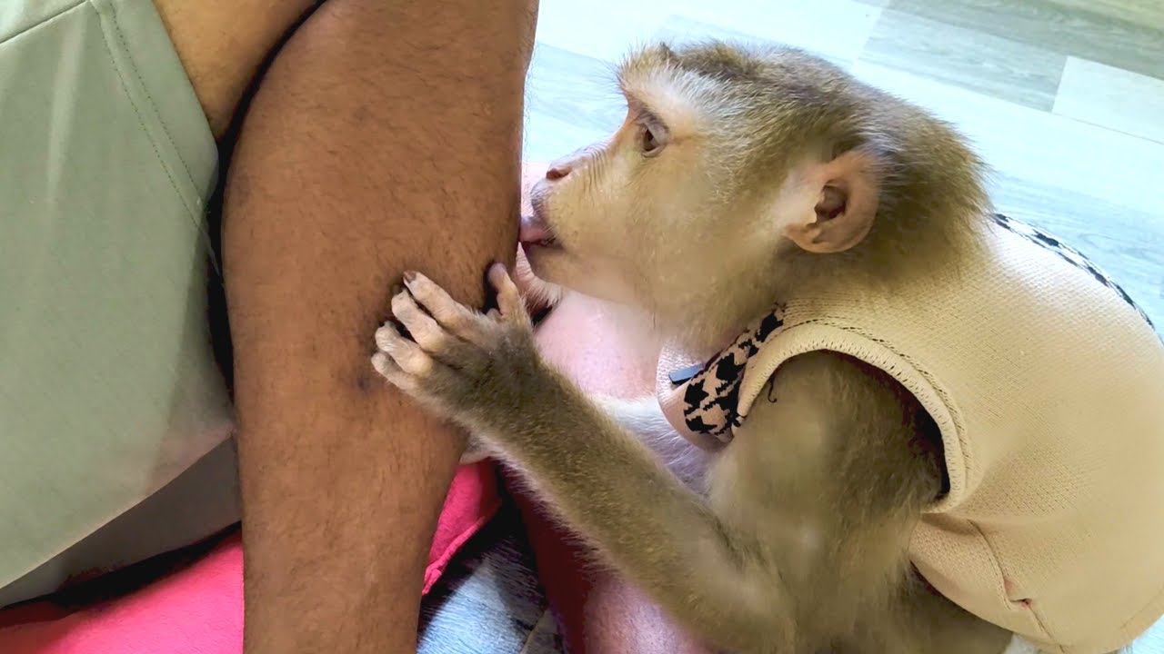 Dr. LYLY Grooming Remove Leg Hair Deep Relaxing ASMR for Stress Relief