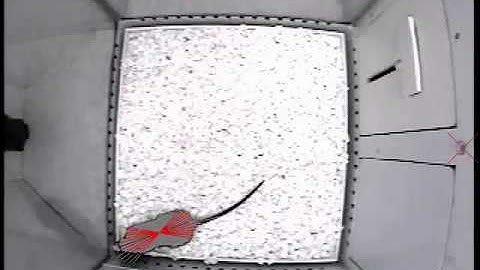 Drug Discovery System Computer Vision Video