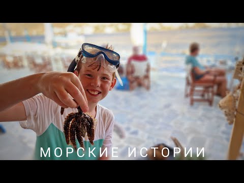 Каникулы ч.2 /