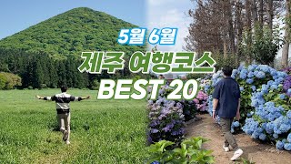 5월 6월 제주여행 추천 코스 BEST 20 🌳 일년 중 제주가 가장 예쁠 때, 지금 오셔야 합니다!