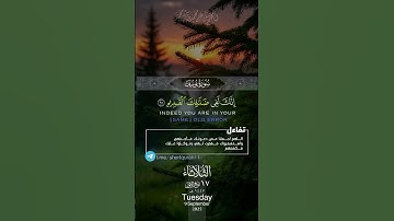 ❤️اللهم اجعل القرآن ربيع قلوبنا ونور صدورنا❤️ #القارئ #المصحف #الرحمن