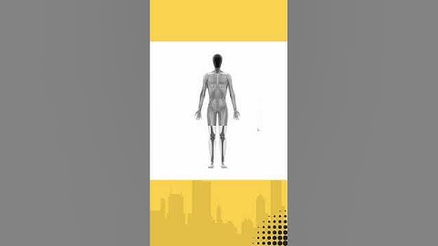 Humanoid Robots Are HERE! 🤖 (And You Can Buy One!)