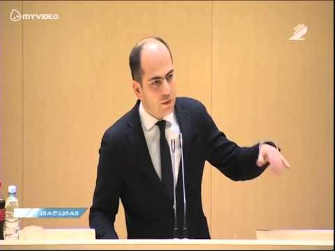 გიორგი კანდელაკი მეწარმეობის განვითარების სააგენტოს შესახებ