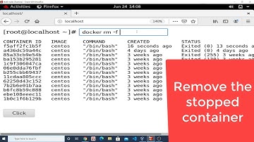 Docker Web Console Controller