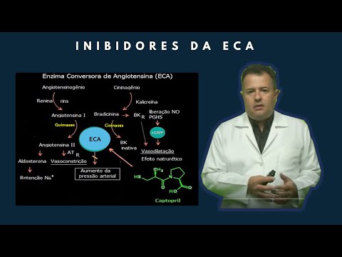 Vídeo: O Bloqueio Do Receptor Da Bradicinina 1 Subjuga A Autoimunidade Sistêmica, Inflamação Renal E Pressão Arterial Na Nefrite Lúpica Murina