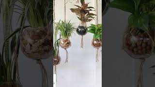 #garden4u Hangingwatergarden #gardenideas #planterideas #gardendecor #indoorplants #gardening #diy