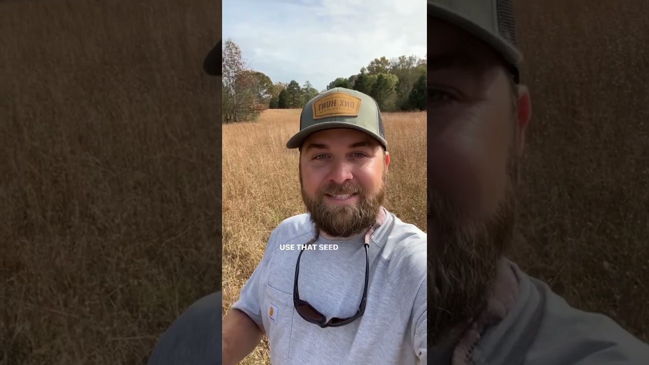 Collecting Native Warm Season Grass Seed