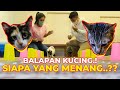 SIAPA YANG TERCEPAT?? BALAPAN KUCING GW ATAU FANNY GHASSANI