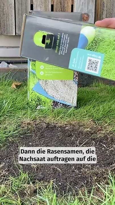 Wie kann man im Rasen Lücken schließen? 😄 nachsaat lawn säen samen