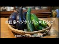 ワサビ漬け/柚子胡椒漬け/夏野菜/ピリ辛でおつまみにもご飯にも/vegetarian/Japanese pickles