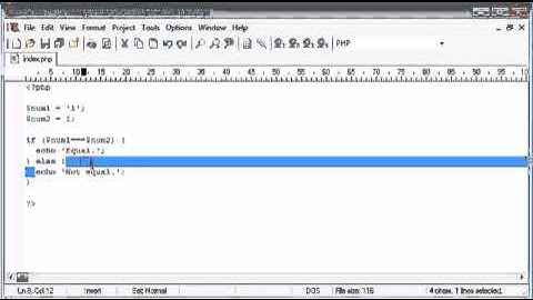 Beginner PHP Tutorial   24   Triple Equals   YouTube