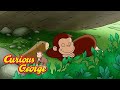 George Takes a Nap 🐵 Curious George 🐵 Kids Cartoon 🐵 Kids Movies