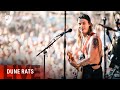 Dune rats  scott green splendour in the grass 2017