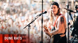 Video thumbnail of "Dune Rats - 'Scott Green' (Splendour In The Grass 2017)"