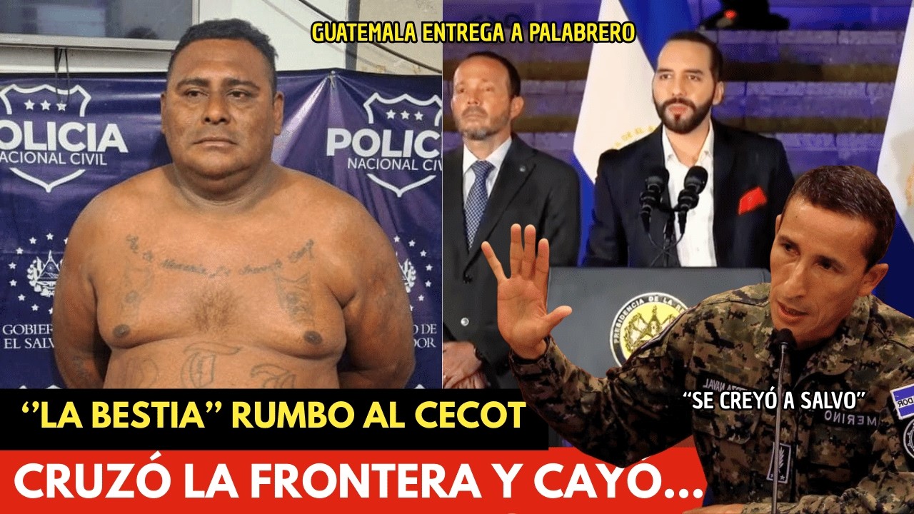 Así entregó Guatemala a “La Bestia”: Palabrero del Barrio 18 de camino al CECOT