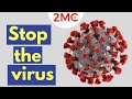 Virus Prevention and Safety Quiz