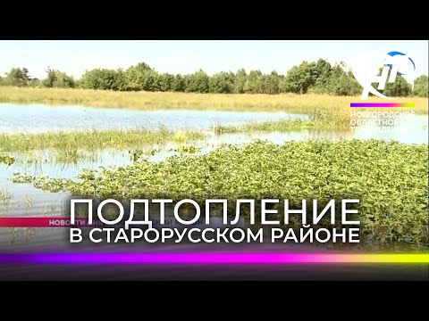 Видео: Градски легенди: в района на Нижни Новгород има гробище, което 