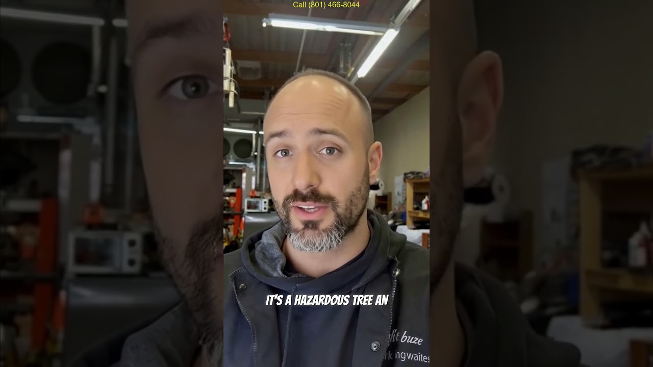 Salt Lake City UT Landscape Designer